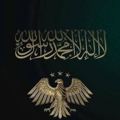 mhmdmr821266329's profile picture. 