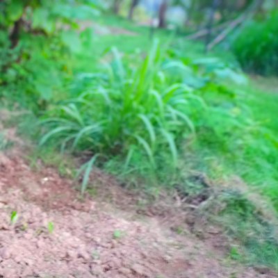 00life0's profile picture. 