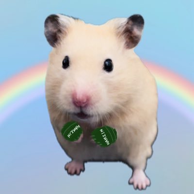 2525kina5's profile picture. 格闘技//動物/音楽/美容/かわいい/おもろい/おいしい/無言フォロー大歓迎&失礼します/ポジティブ民/日常垢/今年もローカルヒーロー祭に行けなくて白目