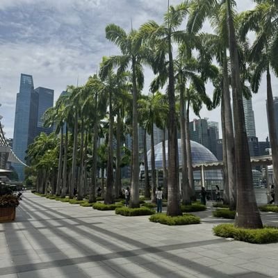 NasThedi's profile picture. 