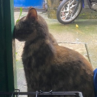 StephenR38995's profile picture. 