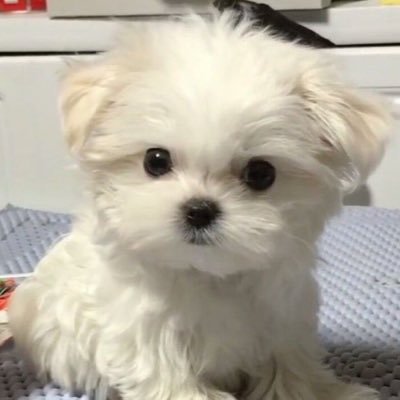 pg_coo's profile picture. 