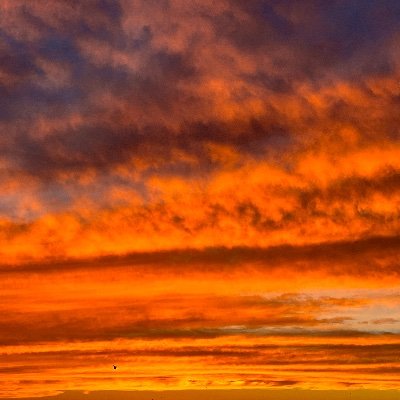 FLEEEaKO's profile picture. 20↑
🦾📺