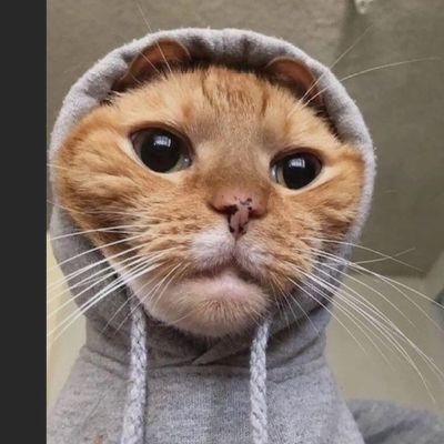 LanternRoses's profile picture. God first❤️ | |Biochemist||

#binance ID: 1028574127