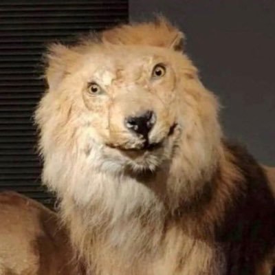 ohf_ck_magod's profile picture. 