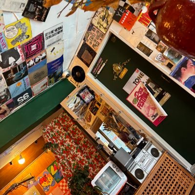 alisonisnotlyla's profile picture. 미국유학 기록