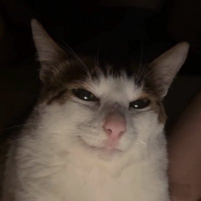 onchaincar's profile picture. DO KNOW