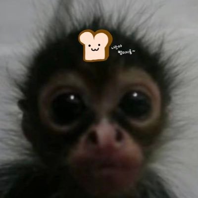 keembread's profile picture. 옵생옵사