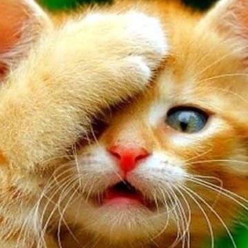 KaneenMela97239's profile picture. Crazy How do I say This .......Smile as much as you can never know who's Day you just might brighten up a bit