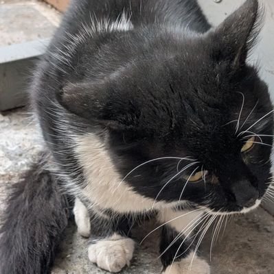 KasE127022's profile picture. 