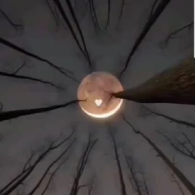 Nexus_BM's profile picture. creator at @MorphLayer /Web3 explorer/ Content creator /Researcher