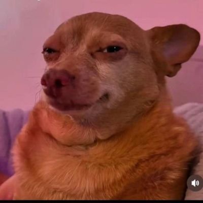 Verse9V9's profile picture. Gratitude is my attitude✧Finding magic in ordinary moments & joy in the journey 🧲⚡💲