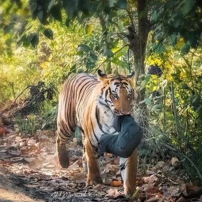 RahulV94844's profile picture. follow me twitter account