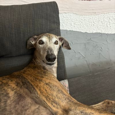 Worthy4602831's profile picture. 