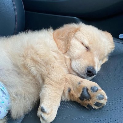 leavemybacons's profile picture. toronto | tysone | abu’s bd 17.04.2025