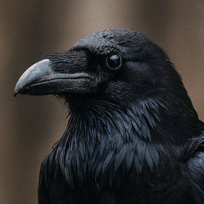 mjhistory777's profile picture. The country that doesn't exist and never will is not in the list, guess the name of it 😉❤️
 🇮🇱 🇺🇸 🇫🇷 🇯🇵 🇮🇹 🇩🇪 🇸🇪 🇳🇴 🇩🇰