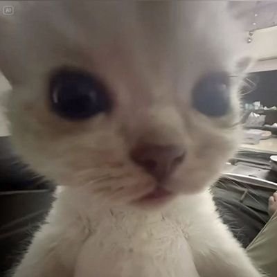 lilyoel_'s profile picture. 