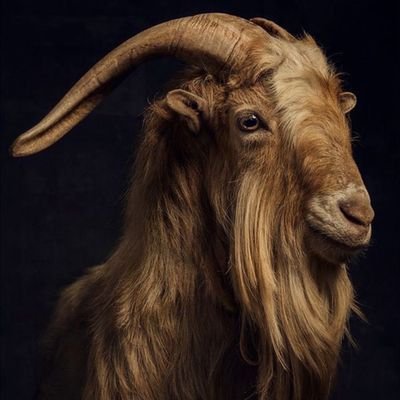 Jahbez12's profile picture. I'm earning with @Cheelee_Tweet DM me and find out how