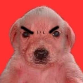 sake0flove's profile picture. 고💖파이트💥이케🏃🏻이케🏃🏻스페아🎳리카바리🔄키모치 스구니😊✨키리카에✨네쿠스토💨호라호라❤️‍🔥마다마다💫혼노🐻죠노쿠치🐻‍❄️오케👌🏻오케👌🏻코코카라닷테🩵🥺아키라메나이데🥹🧡✨🧸