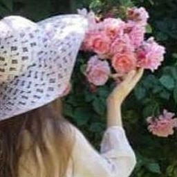 frireetauw92572's profile picture. 