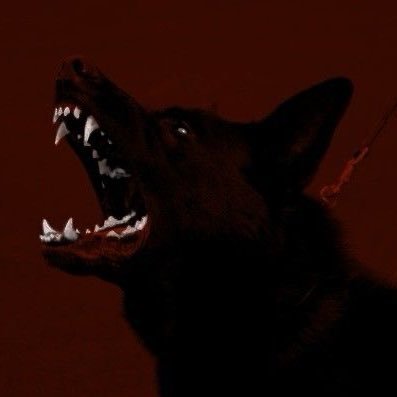 puppyXfangz's profile picture. I Can Give You What You Want || 22 || MDNI || MINORS/AGELESS WILL BE BLOCKED! || PRIV: @bunnyytails (selective)