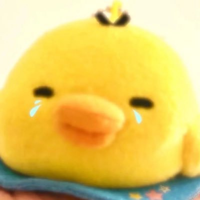 ovozZQaQ's profile picture. 一起去屋顶看星星