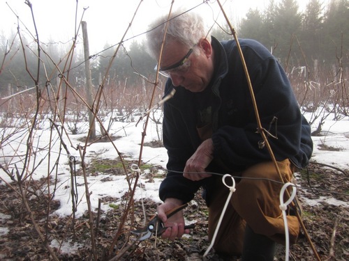 ClosBaillie's profile picture. Vignoble et Cidrerie