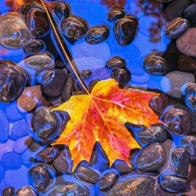 jbean13's profile picture. I've rolled over for chocolate before and would gladly do it again.