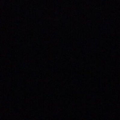 lungutimzy's profile picture. 