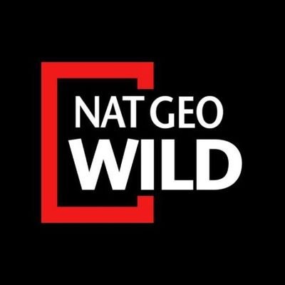 NatGeoWildx's profile picture. Here you can find everything from the world of wild animals
DM for promotion 📥