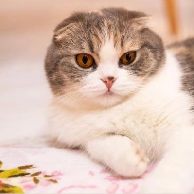 JrQVHq10Fl25905's profile picture. 事業立ち上げ20回以上/事業づくりに役立つ情報を発信/IVS入賞/新規事業立ち上げ伴走/学生起業→スタートアップ経営→現在はスモビジ支援・伴走。 「最初の1万円〜月100万円まで」を構造化して再現性をつくる人/M&Aできる設計・事業選定・集客導線の作り方を発信。 DMで事業相談ください