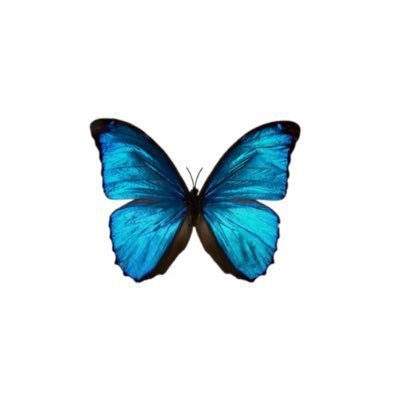 ocherriie's profile picture. 