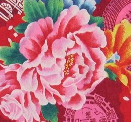 Consultante en communication digitale. Et aussi un  blog culinaire avec des recettes mais pas que...
