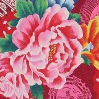 Anna Ch Miquel (@annikapanika) 's Twitter Profile Photo