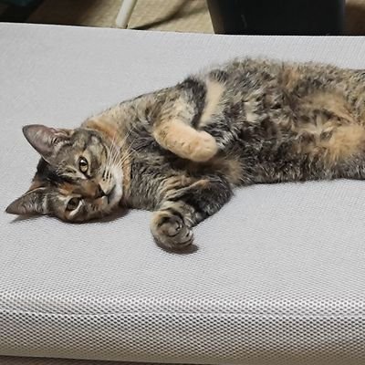 himesamadayo__'s profile picture. Valorant: Hime
GoldⅠ
NeonOTP
オペレーターが得意です