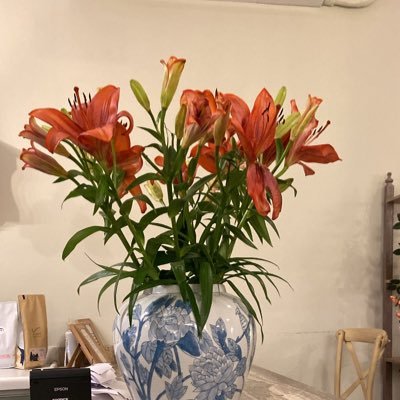 hbh2003aw's profile picture. #KFU @KFUniversity طالبة سياحة وضيافة في جامعة Tourism and Hospitality Management – King Faisal University 🏜️ #مستقبلك_سياحة