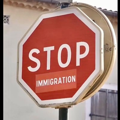 Auslander_Raus_'s profile picture. ✝️ White nations are only for White people.