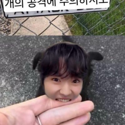 wlatekdm's profile picture. 