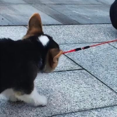 yijiu0119041210's profile picture. 