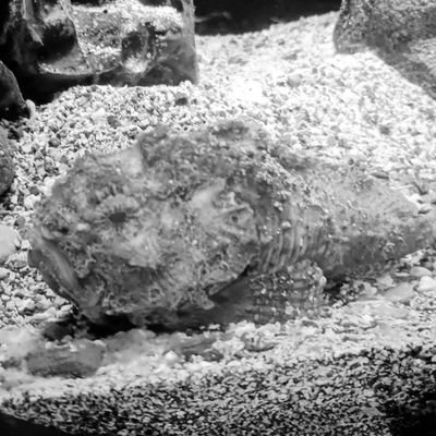 ma53100831's profile picture. こちらはリアルで吐けないものの掃き溜め、いわゆる排泄アカ。独り言なので異論はいちいち絡んで来なくて大丈夫です🫶特に有益な事は呟きませんのでフォロー非推奨。誤字脱字・言い違い・勘違い通常運転。各々脳内変換よろしく。