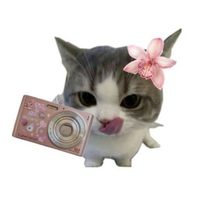 MoHiraiM0's profile picture. random & · ͟͟͞͞➳❥ ⋰ TWICE 👊 — saw twice 231223