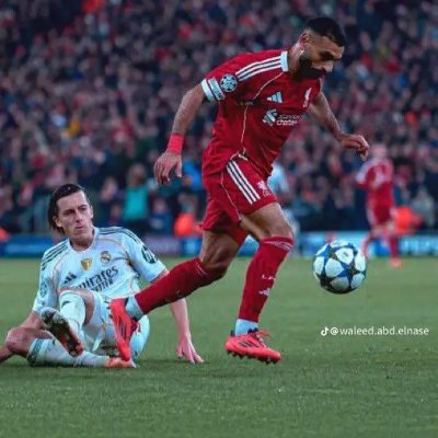 beekomo78170's profile picture. 