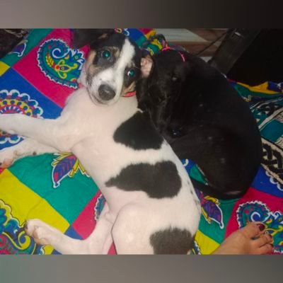 tanya_boss87733's profile picture. 