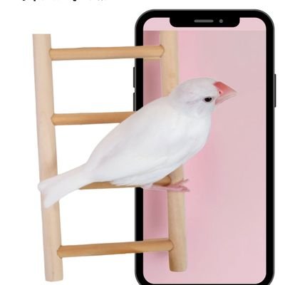 kohdkc's profile picture. イラスト、デザインなどを載せてます。