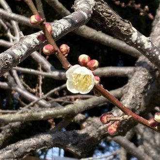 GxK1IP2qfo39029's profile picture. こあおよん