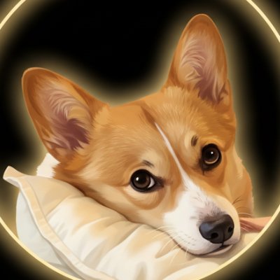 MMRcorgilovers's profile picture. 🐕 Welcome to @MMRcorgilovers
🐾 We share #Corgi content every day!
📸 Follow us if you love Corgis 💛