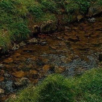 AbhthN26944's profile picture. ابحث من الرياض فقط