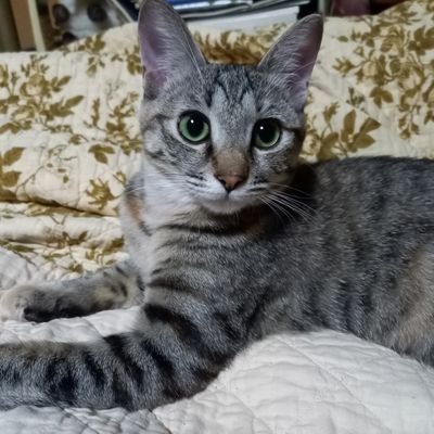 shirotan3261's profile picture. DA PUMP🥰山内惠介❤麻雀大好き💕佐々木寿人さん、滝沢和典、早川健太さん、古橋崇さん、近藤千雄さん推しです🍀