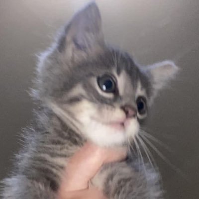 hbn108074111465's profile picture. 感觉至上/直的