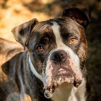 TaylorJAllen23's profile picture. Gamer , Southampton fan and top lad